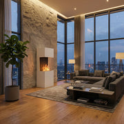 Glow Fire Beethoven