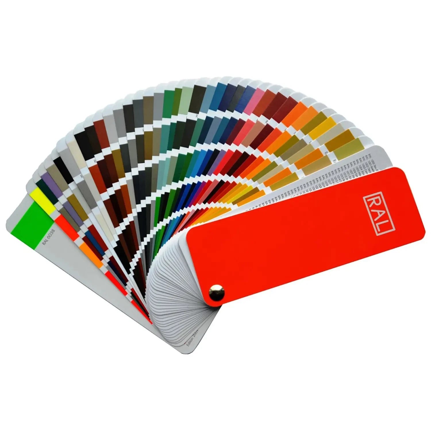 Marino Premium - Colore personalizzabile